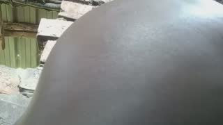 Black_juicy24 about 4 minutes into her 23 Oct show