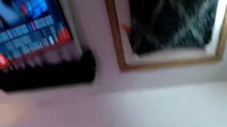 bombshellbaeby about 3 minutes into her 23 Oct show