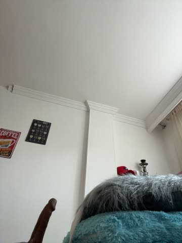 Hairy Armpits and Trimmed Listed: charlotte_stevenss_ on Stripchat (Oct 31, 2026, 6 min)