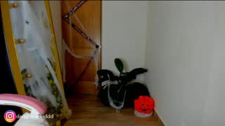 deisy_madrid about 41 minutes into her 21 Oct show