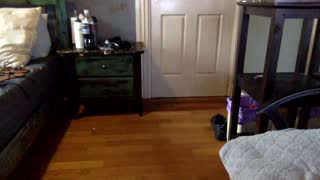 feetlover123456436457 about 2 minutes into his 24 Oct show