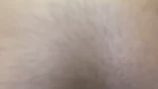 Fiercefoxxy about 5 minutes into her 24 Oct show