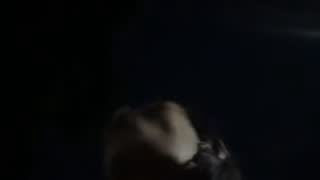 girl_docinho about 44 minutes into their 27 Oct show
