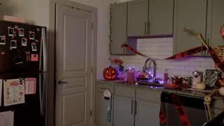 goldengoddessxxx about 2 minutes into her 8 Oct show