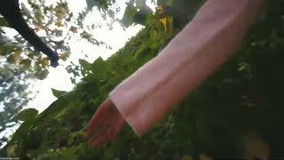 heybanan, 24 Oct 2026