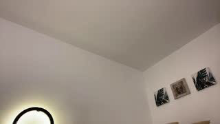 janstallionx about 10 minutes into his 26 Oct show