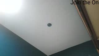 jarodalpha about 1 minute into their 23 Oct show