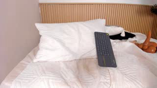 jasmin_evano29 about 7 minutes into her 28 Oct show
