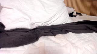 jasmin_evano29 about 73 minutes into her 28 Oct show