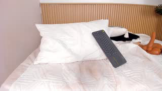 jasmin_evano29 about 20 minutes into her 28 Oct show