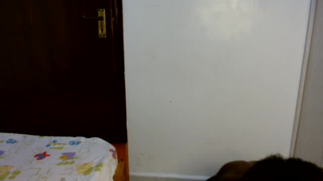 kimberly_chloe Chaturbate Squirt Is Her Thing 31 Oct 01:37 UTC