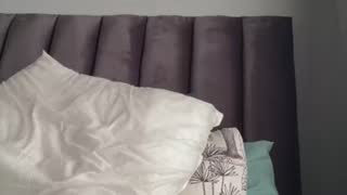 LuciousLips96 about 2 minutes into her 24 Oct show
