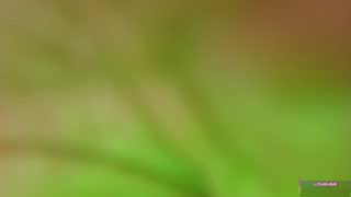 masters_sexx, 22 Oct 2026, 15:31 UTC