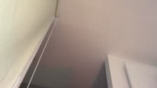 NicoleCut about 3 minutes into her 24 Oct show
