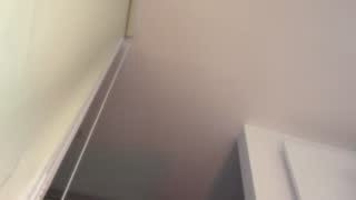 NicoleCut about 4 minutes into her 24 Oct show