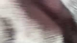 Prettywettkittycc about 11 minutes into their 24 Oct show