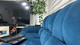 sexual_addiction about 17 minutes into her 8 Oct show