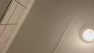 SexyTamia_302 about 13 minutes into her 24 Oct show