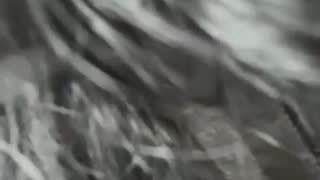 soceciliaok about 1 minute into their 28 Oct show