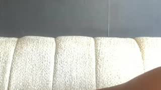 sugarynotch about 7 minutes into her 30 Oct show